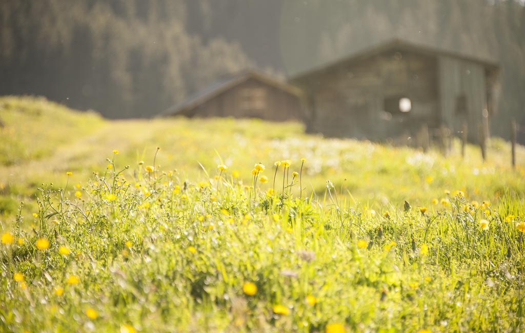 Gasthof Daniel Lech am Arlberg
